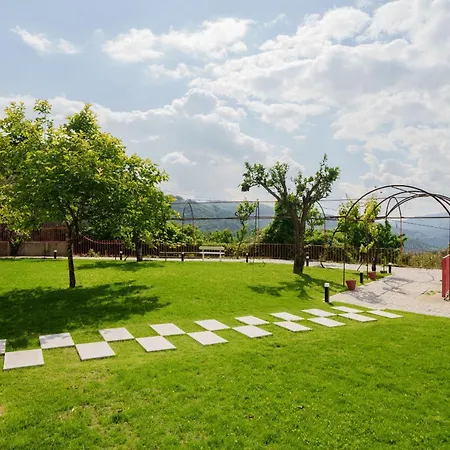 Feel Discovery Aura Douro Valley São Martinho de Mouros