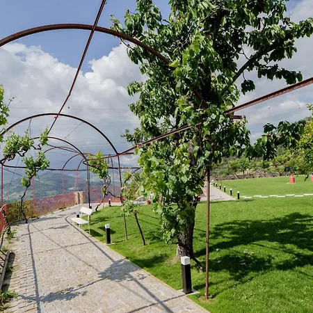 Feel Discovery Aura Douro Valley São Martinho de Mouros